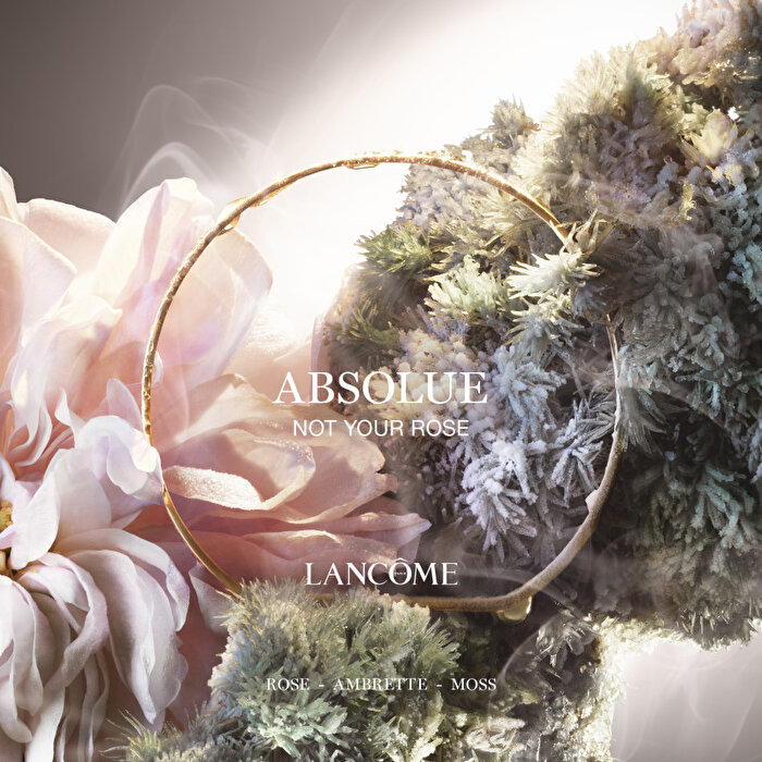 Absolue Not Your Rose-3614274151671-0736019a
