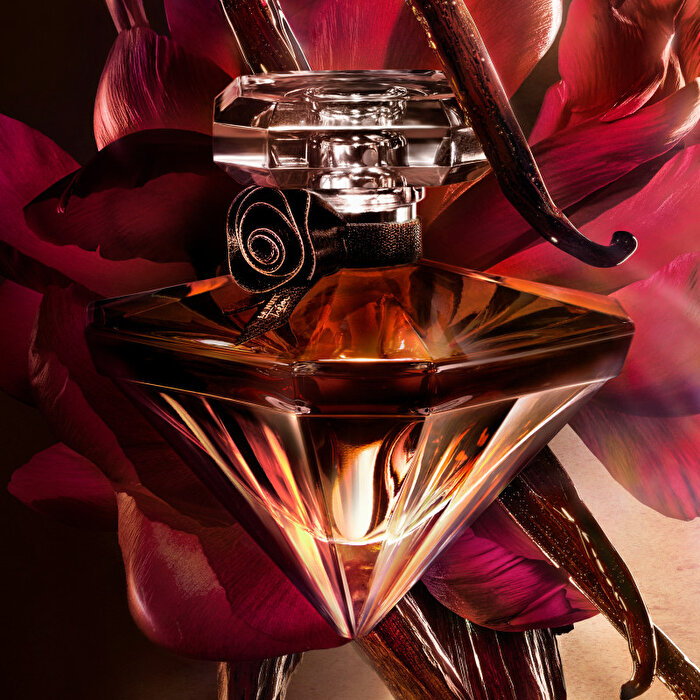 La Nuit Trésor Vanille Noire EDP-3614274335668-076801a0