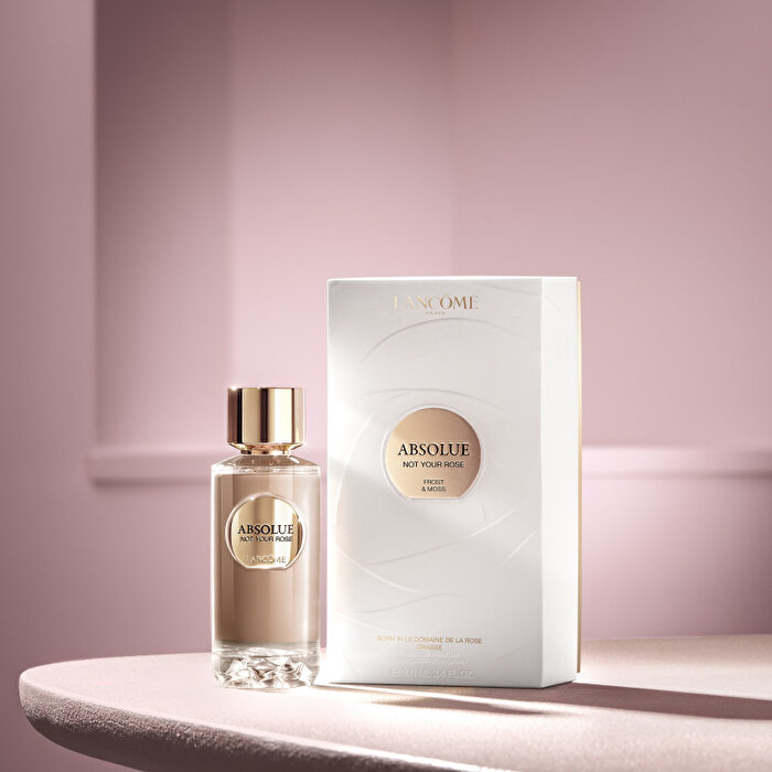 Absolue Not Your Rose-3614274151671-0737019a