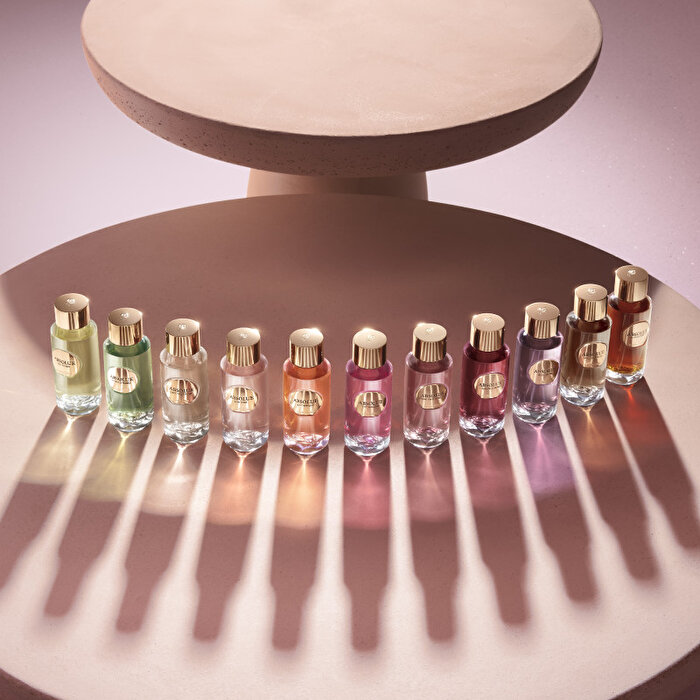 Absolue 6am Rose-3614274151695-075b01a3