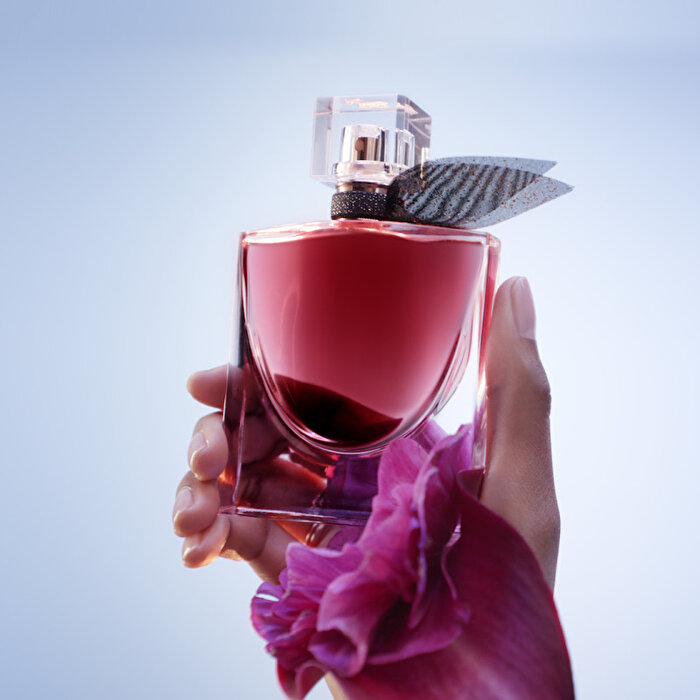 ラヴィエベル レクストレ 30mL La Vie Est Belle Élixir EDP - 50 ML Parfüm | Lancome TR