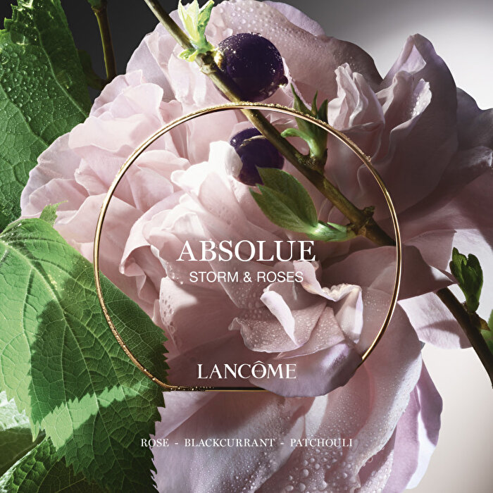 Absolue Storm & Roses-3614274151664-074301a0